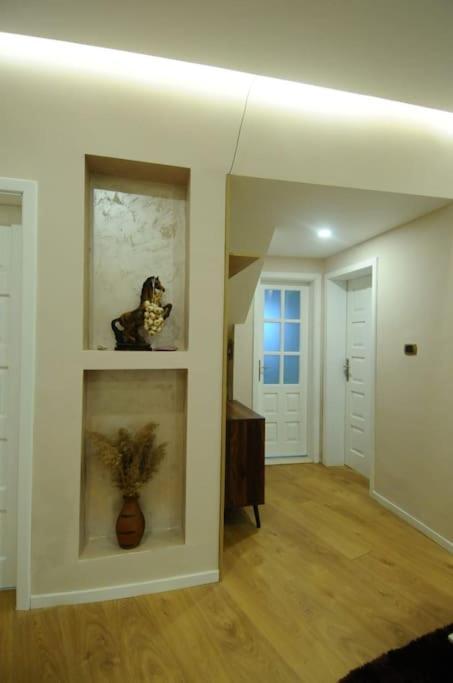 Grandpa House App.1 Apartment Tirana Exterior photo